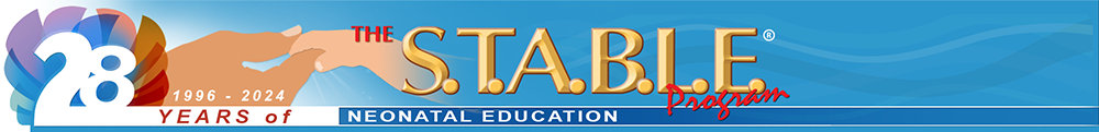 STABLE Program, 28 Years Logo