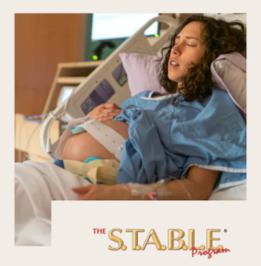 MANUALS THE S T A B L E PROGRAM visual data 3